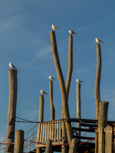 A clear blue sky with several seagulls perched atop tall, weathered wooden logs and poles arranged vertically, resembling a natural or coastal structure. Some logs are connected with metal wires or re